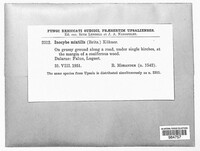 Image Associated With the Occurence